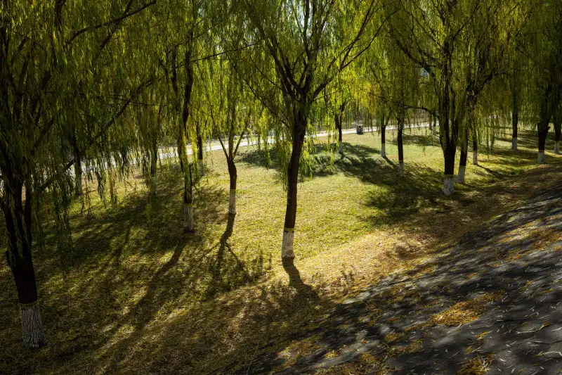 建筑工程与市政工程协同施工的关键技术要点解析——以重庆恒凡达建筑工程有限公司项目实践为例