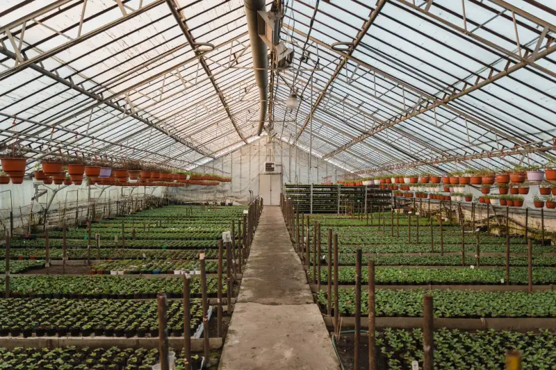 重庆恒凡达建筑工程：钢结构工程焊接工艺与质量验收标准解析