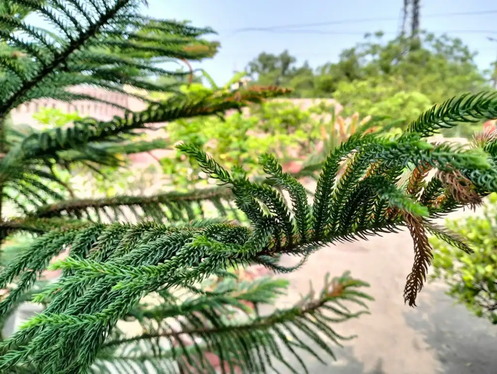 重庆地区钢结构工程施工质量验收规范要点解析